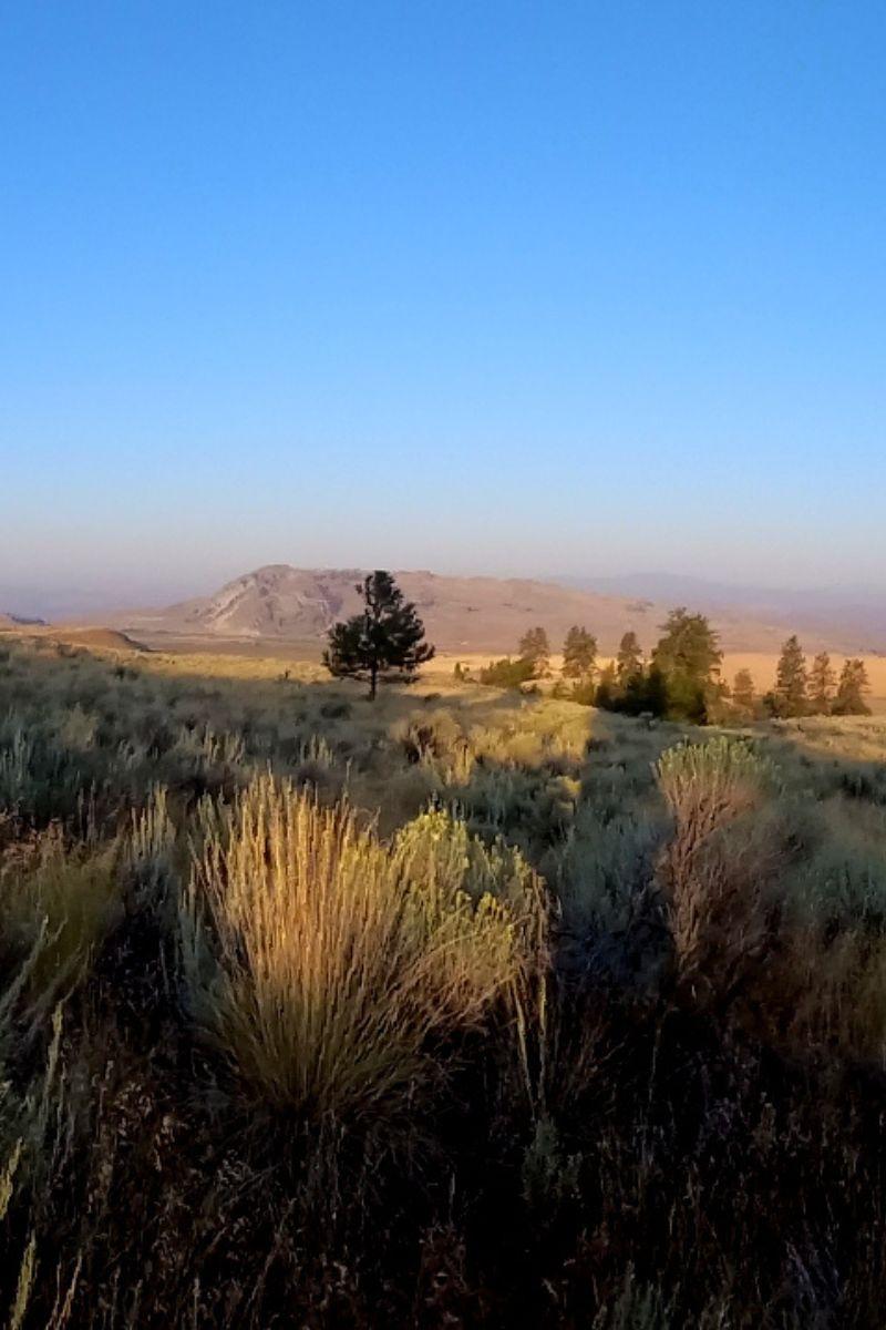 Open Spiral Landscape